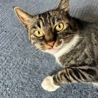 ゆきなさんのアイコン画像