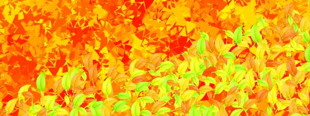 美空@低浮上@最近、勉強の拒絶反応が凄いさんの壁紙画像