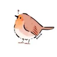 arinさんのアイコン画像