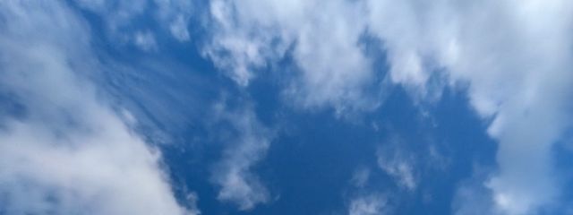 おからさんの壁紙画像