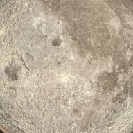 おからさんのアイコン画像