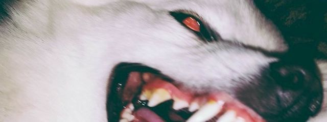 白銀白夜 出す出す詐欺しかしてない((さんの壁紙画像