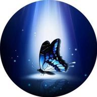 まいこさんのアイコン画像