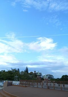 死にたいだけなのに