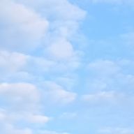 美猫さんのアイコン画像