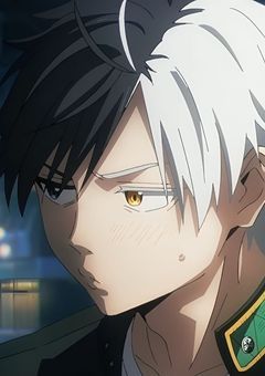 野良猫と飼い猫