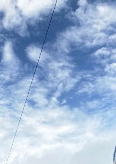 幻想入りした少女の冒険譚