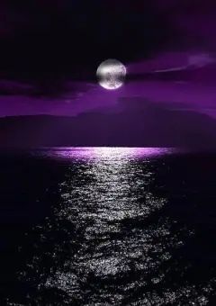 輝く才能、煌めく日々 。