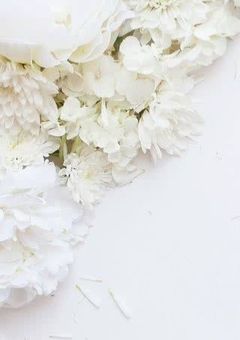 白くありたいんです