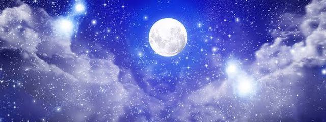 夜桜 月さんの壁紙画像
