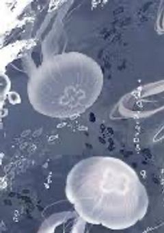 やみあぴにっき