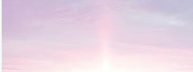 S.&Y.さんの壁紙画像