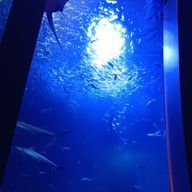 てく⚧️🤝😇さんのアイコン画像