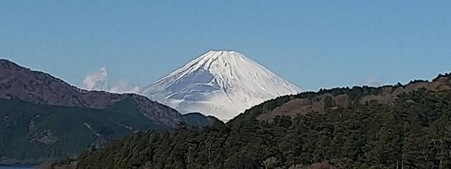 すいとーさんの壁紙画像