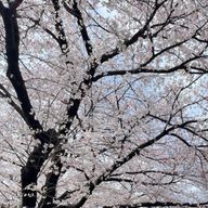 すいとーさんのアイコン画像