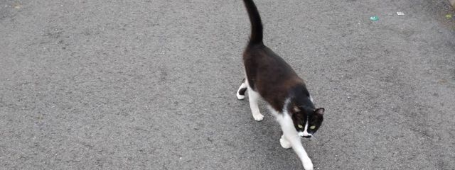 いくら🍣さんの壁紙画像