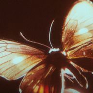 　さんのアイコン画像