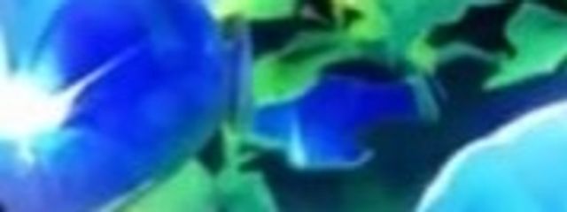 カナタさんの壁紙画像