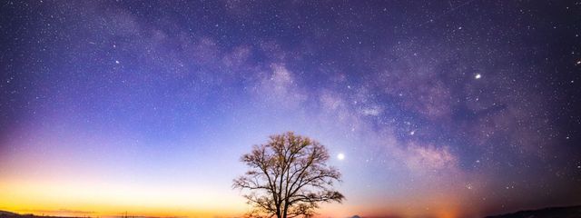 夜桜  星羅さんの壁紙画像