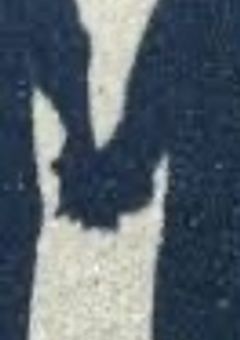 私と貴方は磁石みたいに離れてもくっつくの。