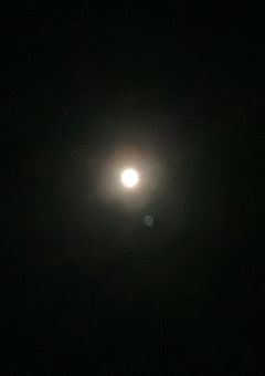 発達障害__只今成長期__