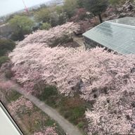 まっつんさんのアイコン画像