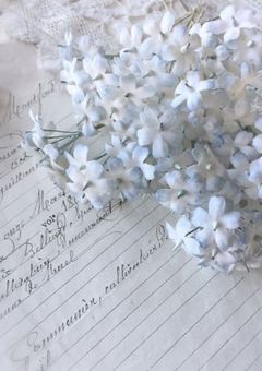 𝘈𝘳𝘦 𝘧𝘭𝘰𝘸𝘦𝘳 𝘢 “𝘤𝘶𝘳𝘴𝘦” 𝘰𝘳 “𝘴𝘢𝘭𝘷𝘢𝘵𝘪𝘰𝘯”?