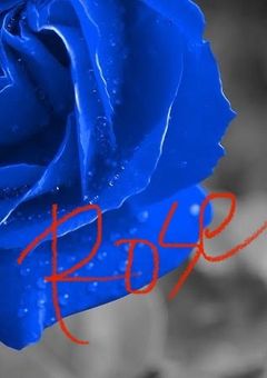 怪盗ローズ参上！