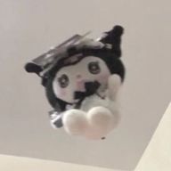 Riさんのアイコン画像