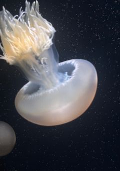 誰かの笑顔のために