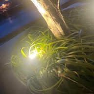 夜月 みやび(ᐡ_ ̫ _ᐡ)︎︎︎︎𓂃𓈒𓂂𓇬さんのアイコン画像