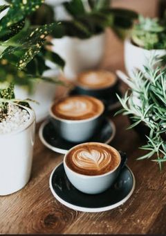 転職先、クセつよカフェでした