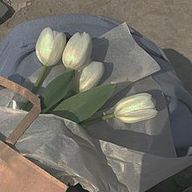 __ RUKA __さんのアイコン画像