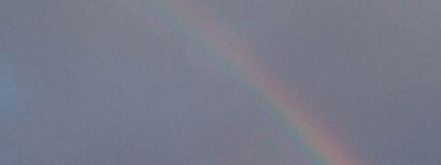 ｱﾒﾌﾘさんの壁紙画像