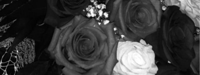 　　　　hkt　　　さんの壁紙画像