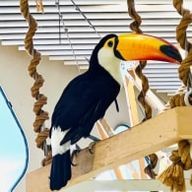 kyoukaさんのアイコン画像