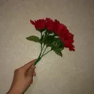 mina🌹☃️⚜️さんのアイコン画像