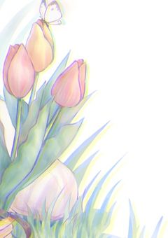 余命少女と雑愛少年