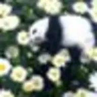 HSSさんのアイコン画像