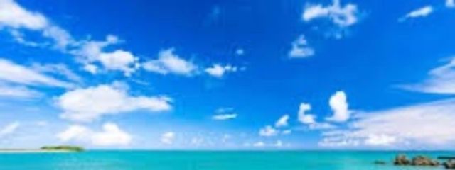 Mさんの壁紙画像