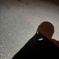 りゅうなさんのアイコン画像