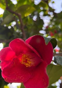 〇〇の部屋 お悩み相談、応援、励まし、色々やってます