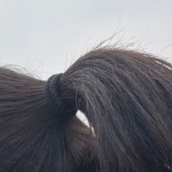 本日限定　中の人さんのアイコン画像