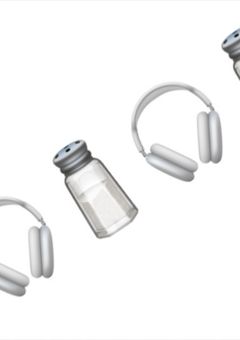 うちの子猫の成長日記