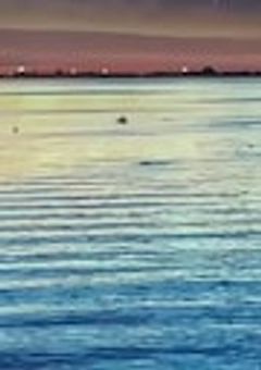 曲パロ(騎士ぱろ、プロセカだけ)