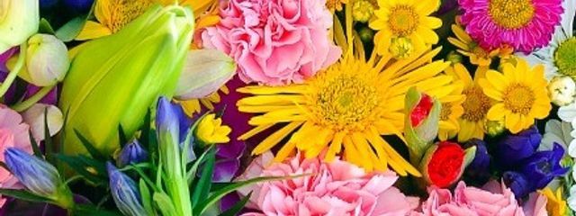 のんたんの背中🐾💠🫧さんの壁紙画像