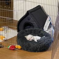 テガルの旦那さんのアイコン画像