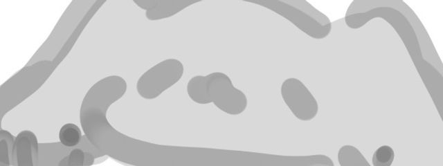 こはくとーまかろん さんの壁紙画像