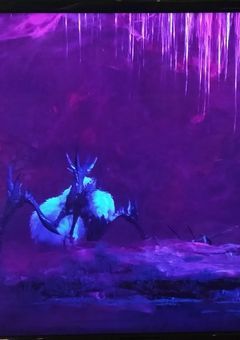 モンハンの写真を飾ろう！！！(？)