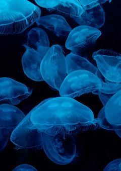 　逃げるな！　　【Nj3j】